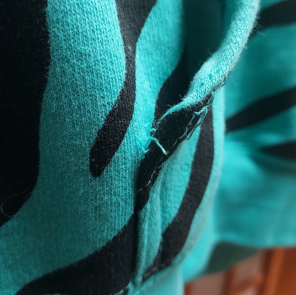 🌊 Seaside Oregon teal zebra kangaroo pocket hoodie Unisex S - Picture 3 of 4
